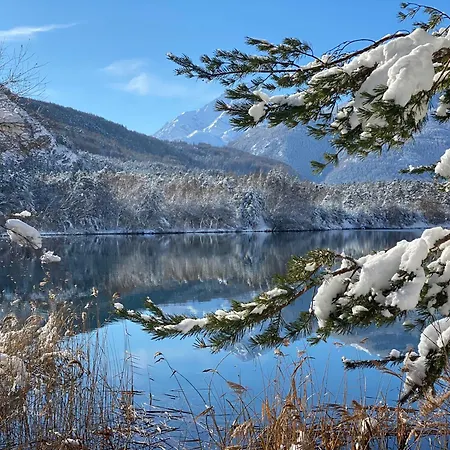 La Del Vecchio Gad * 乌尔克斯